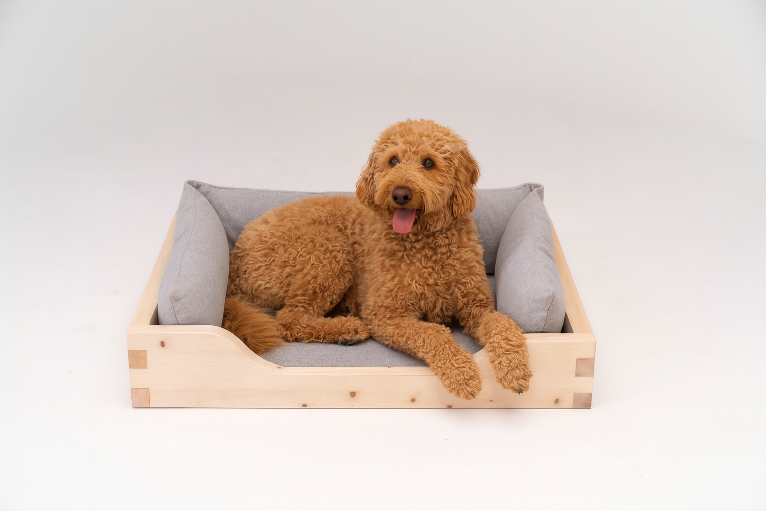 Hund liegt im massiven Zirben-Hundebett mit Lodenpolster – handgefertigt und naturbelassen